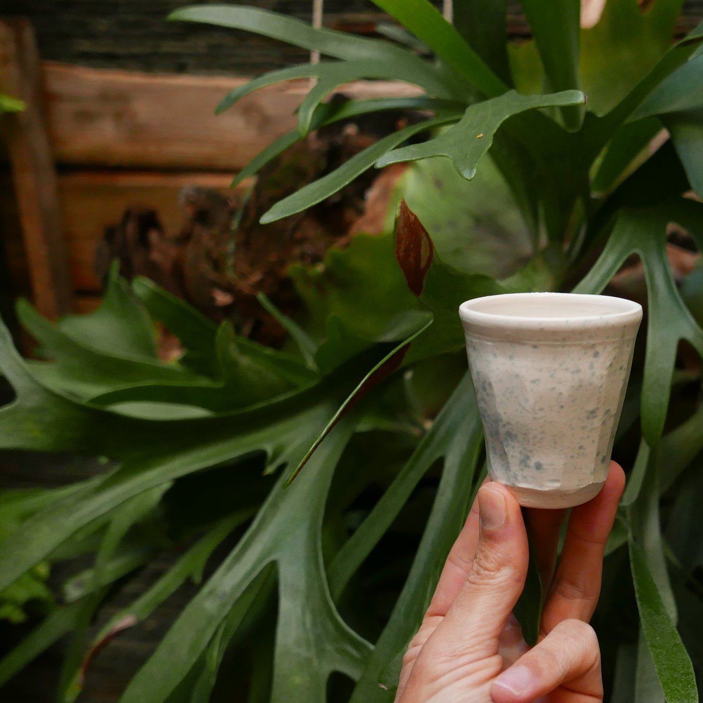 Speckled Blue on White Faceted Tumbler