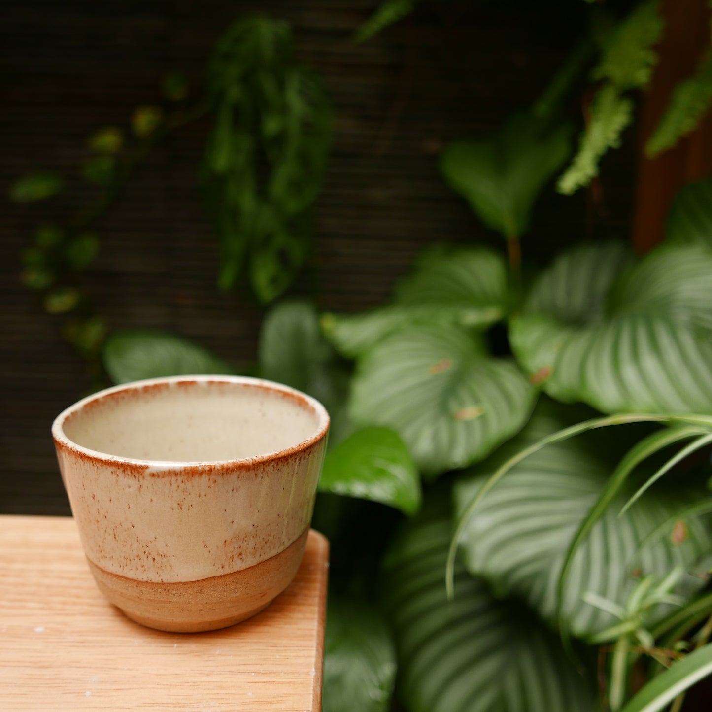 Oatmeal on Speckled Clay Tea Bowl