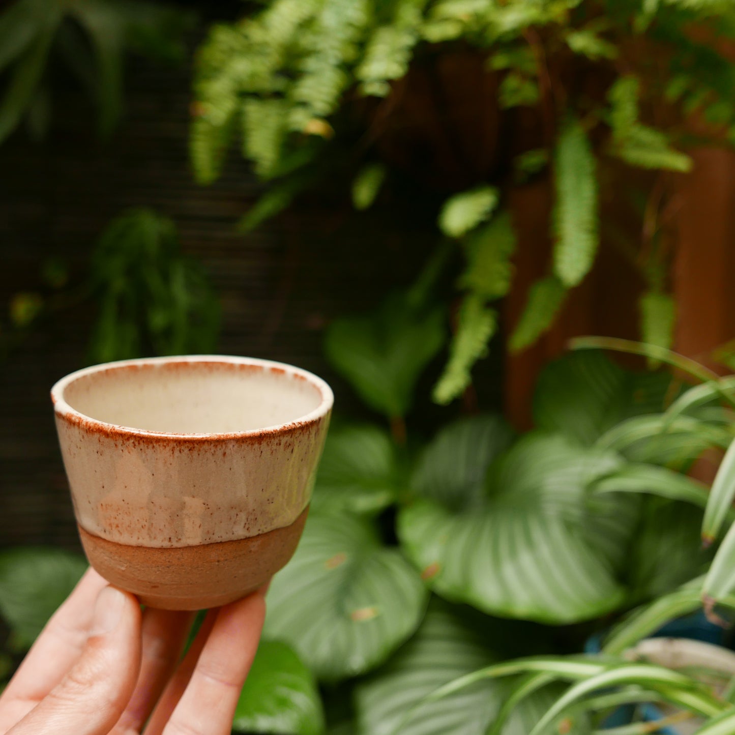 Oatmeal on Speckled Clay Tea Bowl