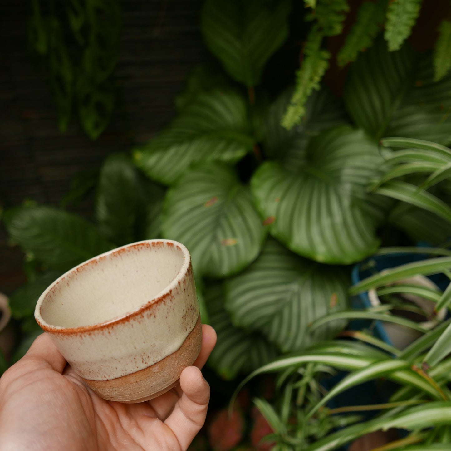 Oatmeal on Speckled Clay Tea Bowl